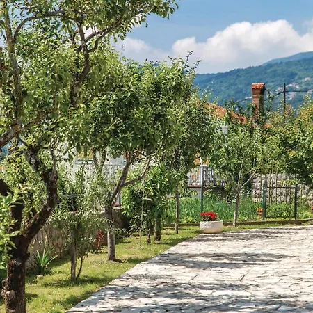 Amazing In With Wifi *