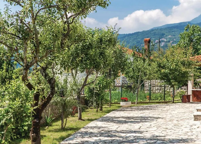 Amazing In With Wifi *